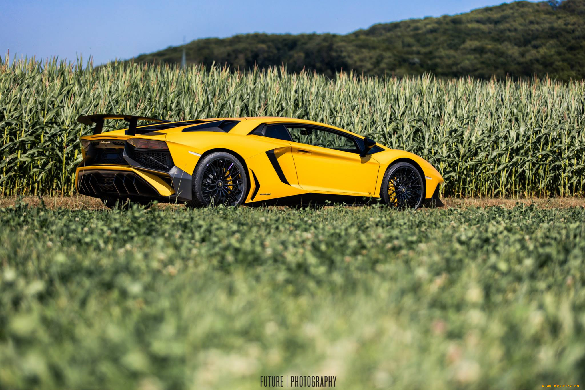 , lamborghini